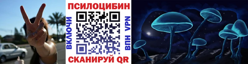 кракен ONION  Саров  Псилоцибиновые грибы Psilocybe 